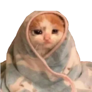 Sticker northwlnd - 5