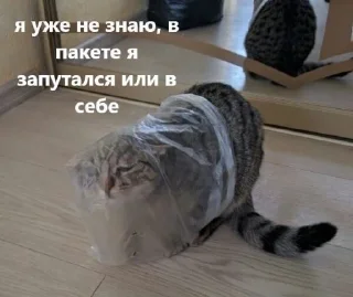 Sticker Мяу? Типо котики - 10