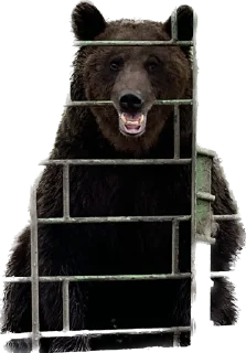 Sticker 501 Not Implemented - 4