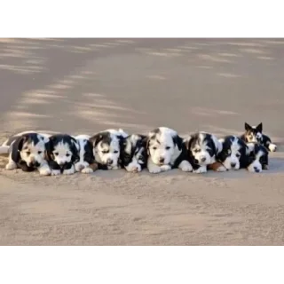 Sticker Не то, чем кажется - 6