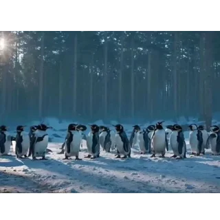 Sticker Не то, чем кажется - 0