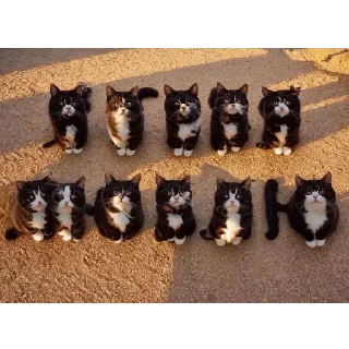 Sticker Не то, чем кажется - 8