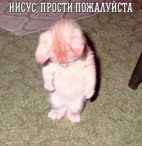 Sticker noviops17 - 1