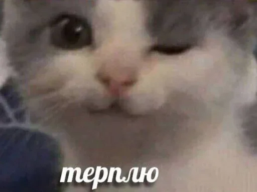 Sticker noviops17 - 1