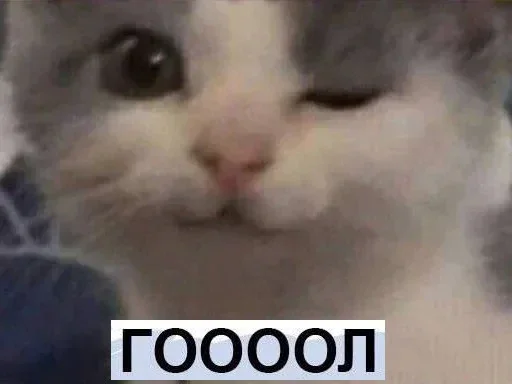 Стикер noviops17 - 1