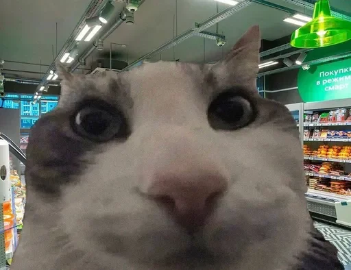 Sticker noviops17 - 1