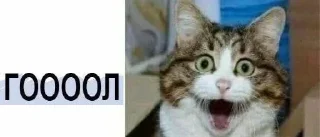 Стикер все новиопы попадают в рай - 1