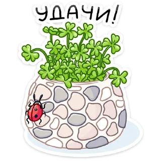 Sticker Вместо слов • @TgSticker - 5