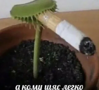 Стикер Создано в @new_stickerbot - 11