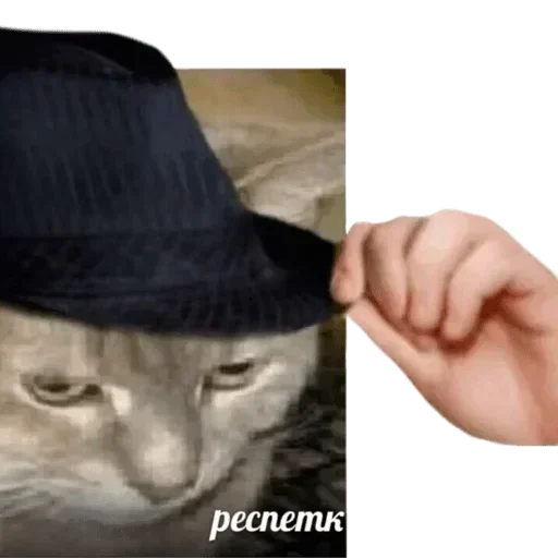 Sticker nrMrleyIIQjQ_by_stickers_stealer_bot - 1