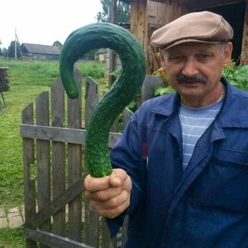 Sticker nrMrleyIIQjQ_by_stickers_stealer_bot - 1