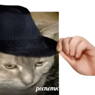 Sticker Лучьше стикеры - @lovesticers - 7