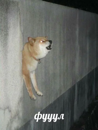 Стикер ns gbljh by @fStikBot - 4