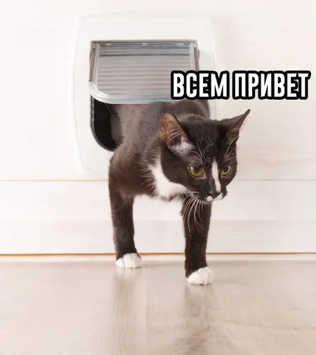 Стикер ns gbljh by @fStikBot - 1