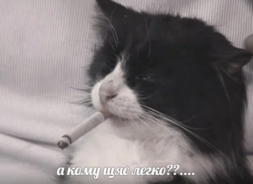 Стикер ns gbljh by @fStikBot - 0