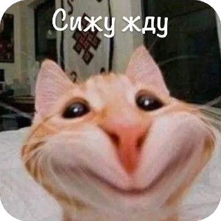 Стикер Ну эм как я бы я @MoiStikiBot - 4