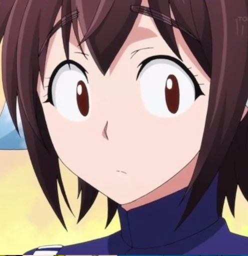 Sticker nuke13372 - 1