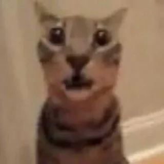 Sticker СУС России @skladstickerov1 - 7