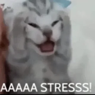 Sticker СУС России @skladstickerov1 - 4