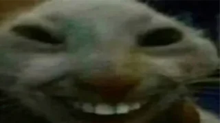 Sticker СУС России @skladstickerov1 - 1