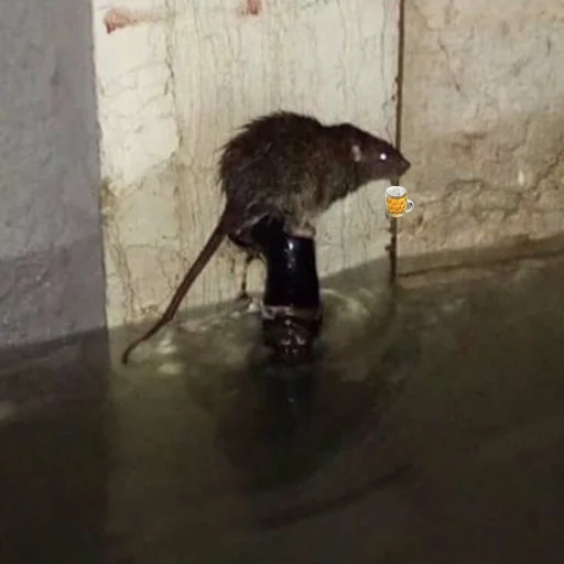 Стикер nullchdaysrandom - 1