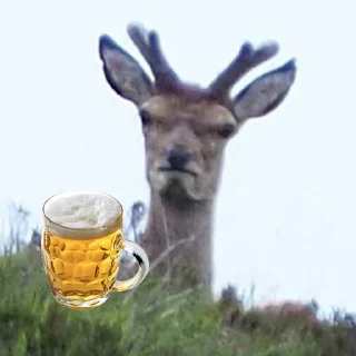 Sticker @nullchdays рандомное - 4