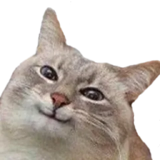 Sticker @nullchdays рандомное - 3