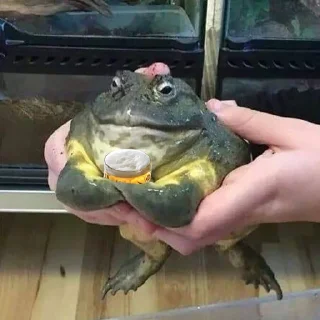 Sticker @nullchdays рандомное - 10