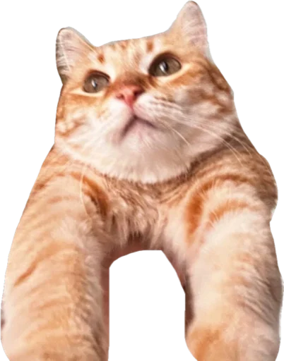 Sticker nurikandvaflya - 1