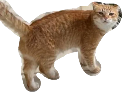 Стикер nurikandvaflya - 1