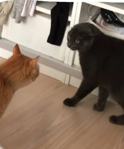 Sticker nurikandvaflya - 1