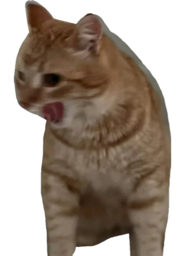 Sticker nurikandvaflya - 1