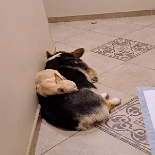 Sticker polina core - 7