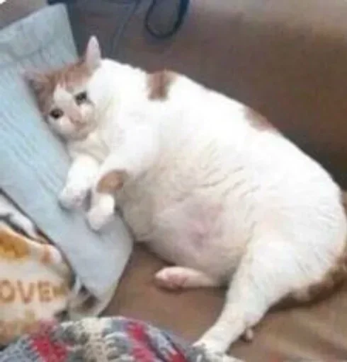 Sticker nuzhnoinezhno - 1