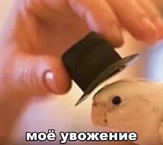 Стикер Nuzhno i nezhno - 7