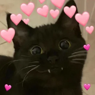 Стикер Nuzhno i nezhno - 3