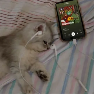 Стикер @aokishiraqq ꖑ - 5