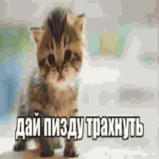 Стикер @aokishiraqq ꖑ - 3