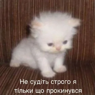 Стикер @aokishiraqq ꖑ - 10