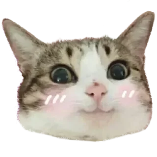 Стикер От красивого ❤️ - @akayo_san - 0