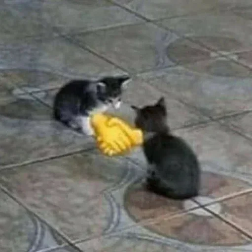 Стикер От красивого ❤️ - @akayo_san - 6