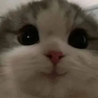 Стикер От красивого ❤️ - @akayo_san - 2