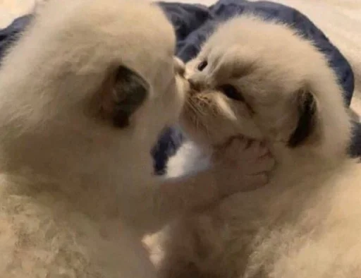 Sticker nya :: @fStikBot - 7