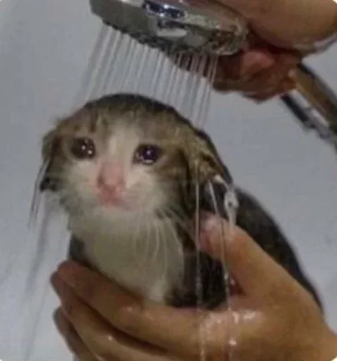 Sticker nya :: @fStikBot - 0