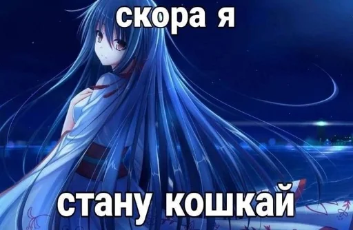 Стикер nyanyaanyaa - 1