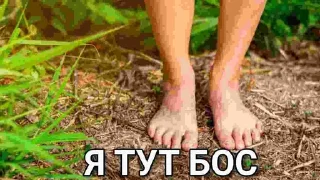 Sticker рандом говно - 2