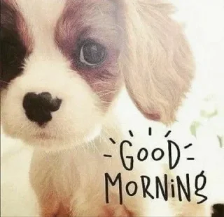 Sticker няппа1Аа 🐾  by: @klosspi - 11