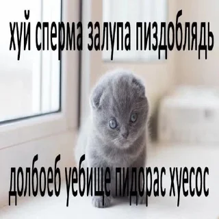 Sticker няшки🍦 𖧵. 🍞  ໒  ⭐️ - 7