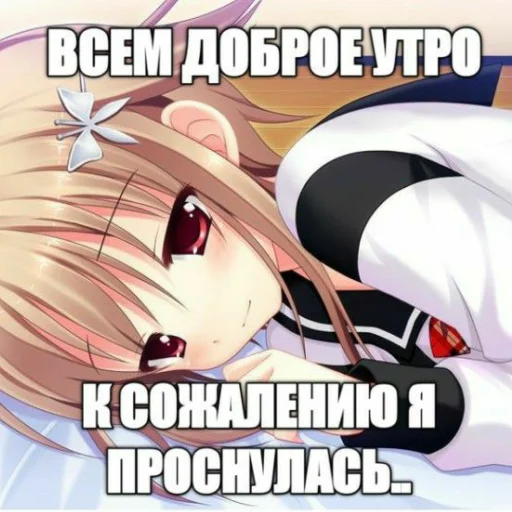 Sticker nyashkkii - 1