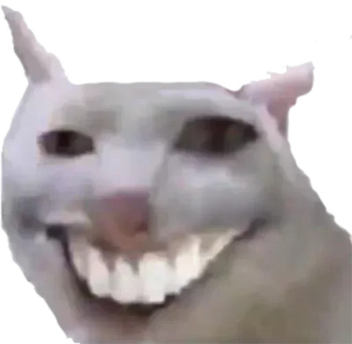 челюсть клык лицо